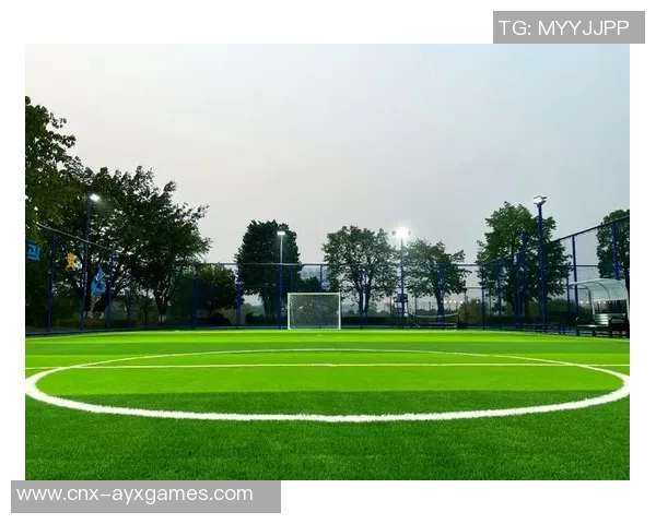 小型足球场的魅力与发展潜力探讨及其对社区体育文化的影响 小型足球场的魅力与发展潜力探讨及其对社区体育文化的影响